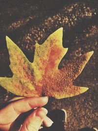 Close-up of hand holding autumn leaf