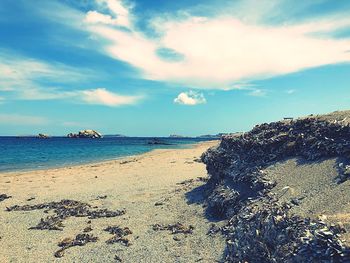 Scenic view of beach against sky