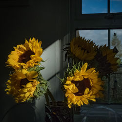 Close-up of yellow flowers in vase