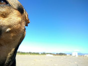 Close-up of sea against blue sky