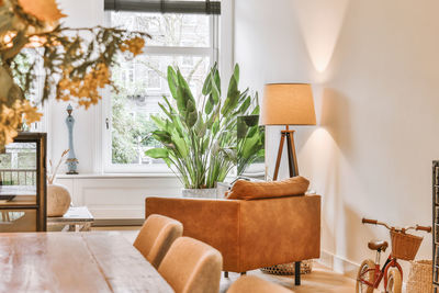 Potted plant on table at home