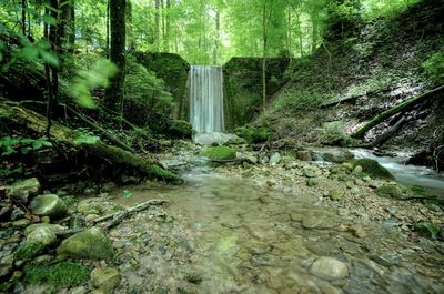 Waterfall in forest against trees
