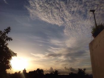Low angle view of silhouette trees against sky