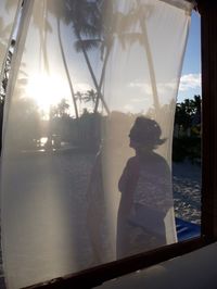 sunlight