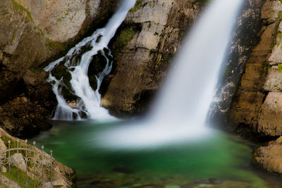 Stream flowing through forest