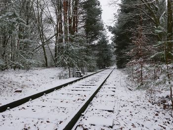 Road passing through forest