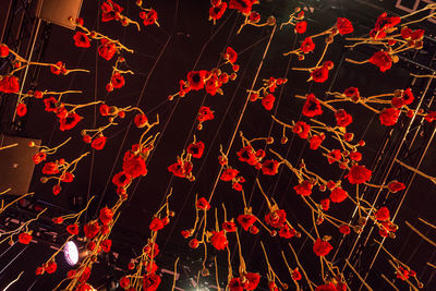 Low angle view of illuminated lanterns hanging at night