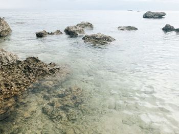 Scenic view of sea shore against sky