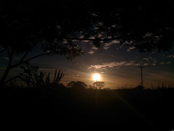 Silhouette trees on landscape against sky at sunset