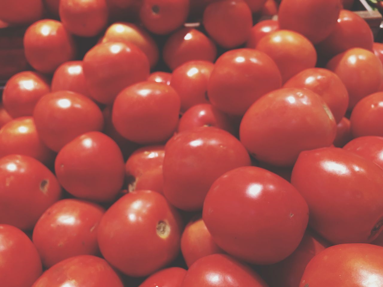 FULL FRAME SHOT OF TOMATOES