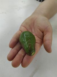 High angle view of hand holding tomato