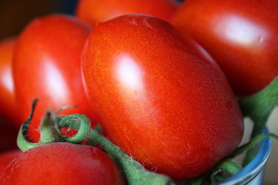 Close-up of tomatoes