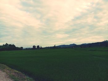 Scenic view of field against sky