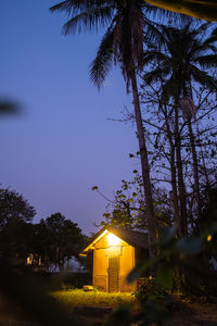 Trees and houses against sky at night