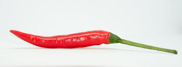 Close-up of red chili pepper against white background