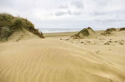 Scenic view of sand dune on beach against sky