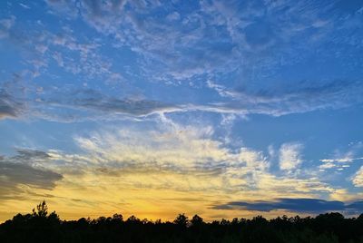 Low angle view of silhouette trees against sky during sunset