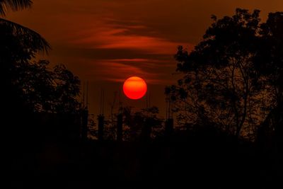 Silhouette trees against sky during sunset