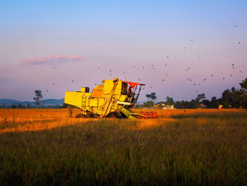 Combine harvesterl on rice field against sky during sunset