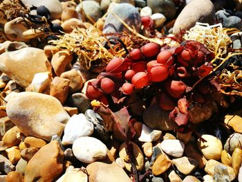 High angle view of stones on pebbles