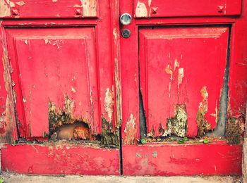 Close-up view of red wall