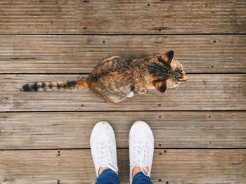 Low section of person standing on tiled floor