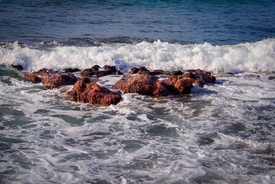 Scenic view of sea at beach against sky