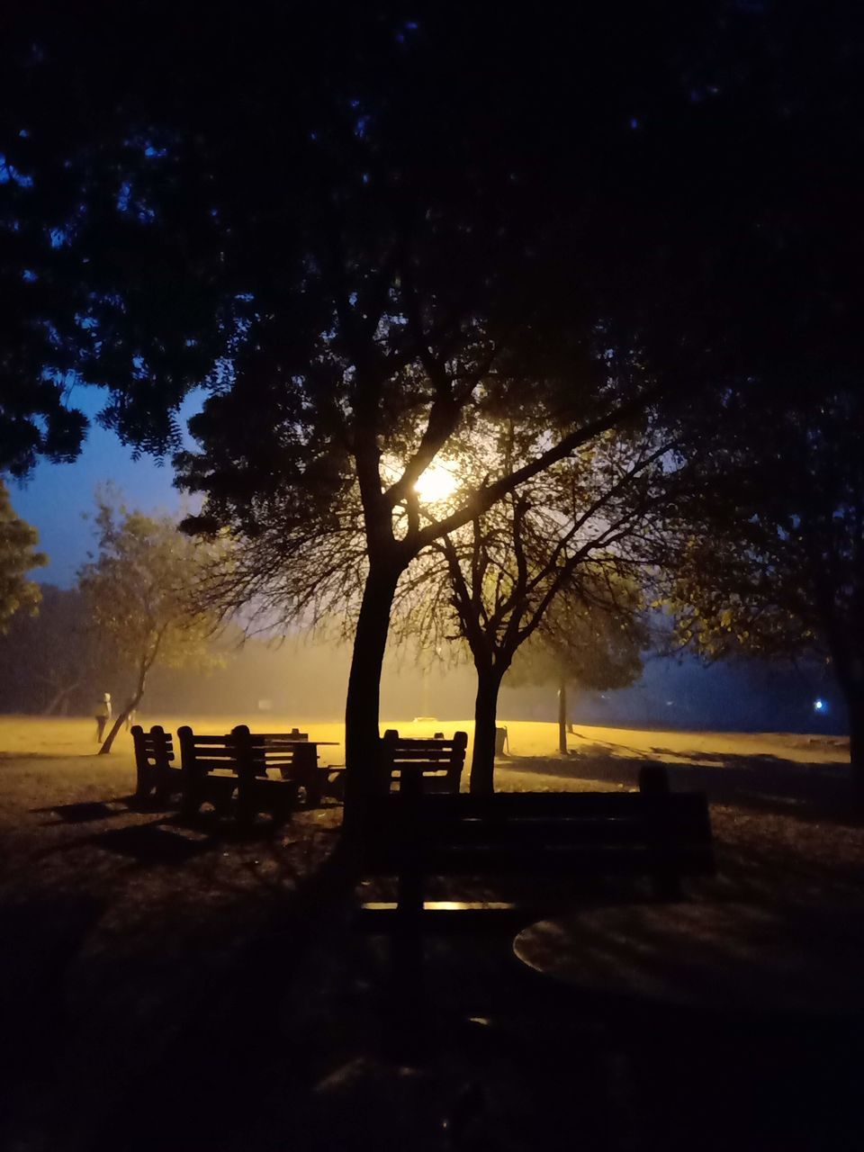 SILHOUETTE TREES BY BENCH AT PARK DURING SUNSET