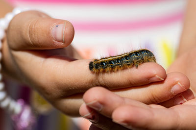 Close up of caterpillar crawling on hand
