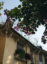 Low angle view of house against sky