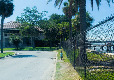 Man and palm trees in park