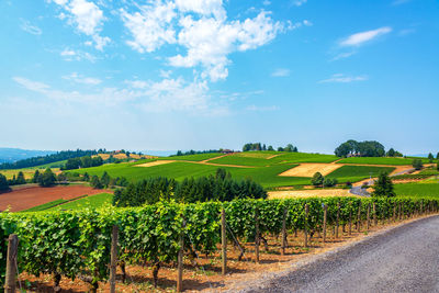 High angle shot of fields against blue sky