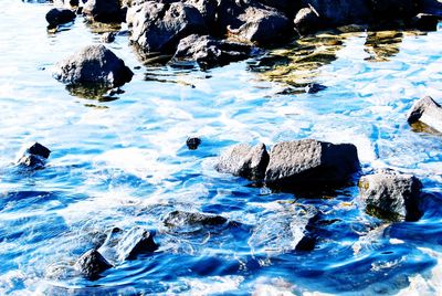 High angle view of rocks in lake during winter