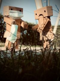 Low angle view of clothes hanging on plant in yard