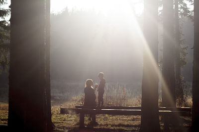 Rear view of mother giving drink to son while sitting on bench in forest