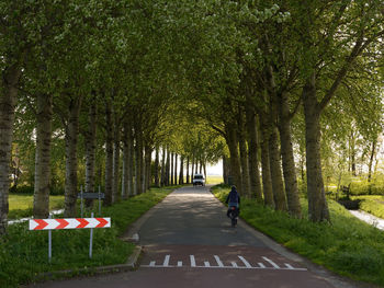 Rear view of woman walking on footpath in park