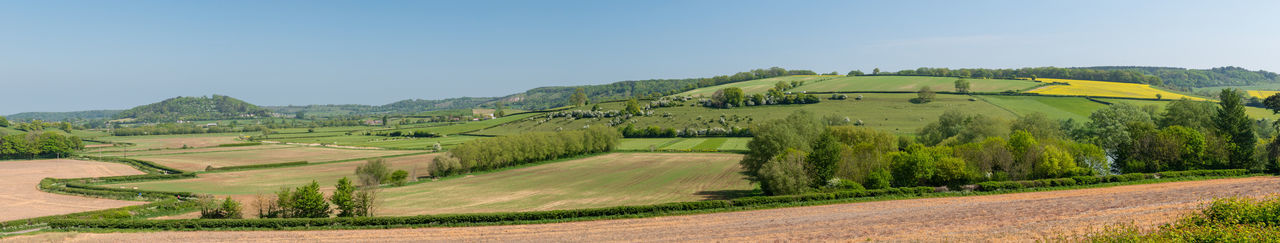 Panoramic photo of the hills and farmland across somerton moor in somerset