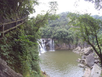 Scenic view of waterfall in forest