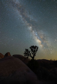 Milky way over joshua tree national park