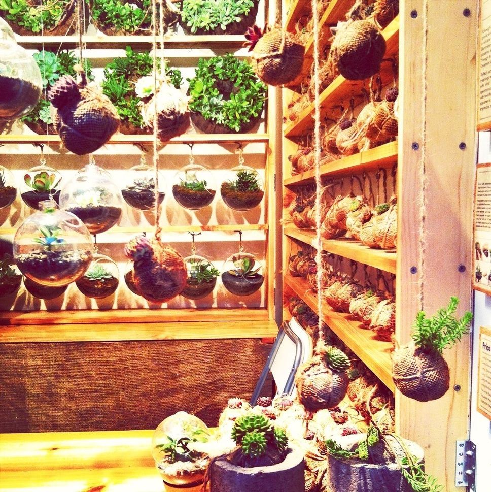 freshness, variation, for sale, food and drink, abundance, retail, choice, arrangement, large group of objects, food, indoors, healthy eating, market stall, market, potted plant, still life, table, vegetable, wood - material, high angle view