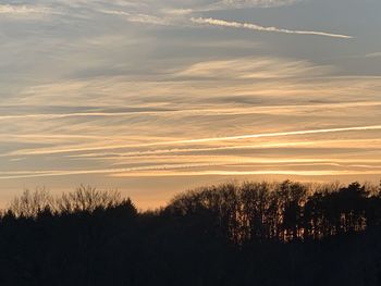 Scenic view of silhouette trees against sky during sunset