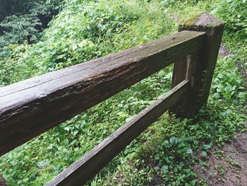 High angle view of bench in forest