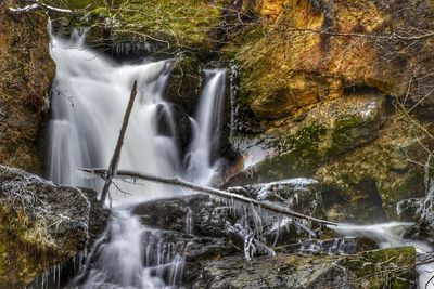 Scenic view of waterfall in forest