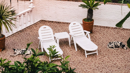 High angle view of lounge chairs