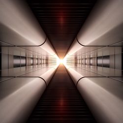 Close-up of yellow orchid blooming outdoors