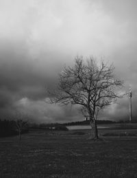 Bare tree on field against sky