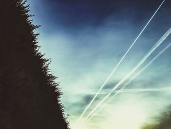 Low angle view of trees against sky