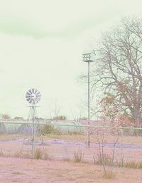 Trees on field against sky