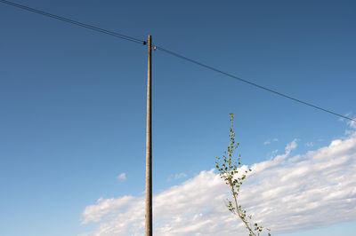 Low angle view of power lines against blue sky