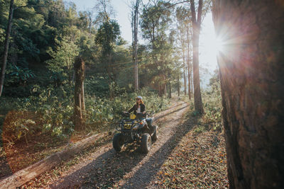 Man riding bicycle on road amidst trees in forest